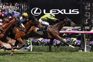 Cismontane (NZ) winning the Group 3 Lexus Stakes